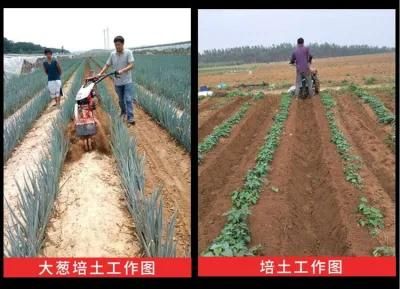 The Cash Crops Vegetables Cultivating with 40cm Ditching Width 10-40 Ditching Depth Tiller