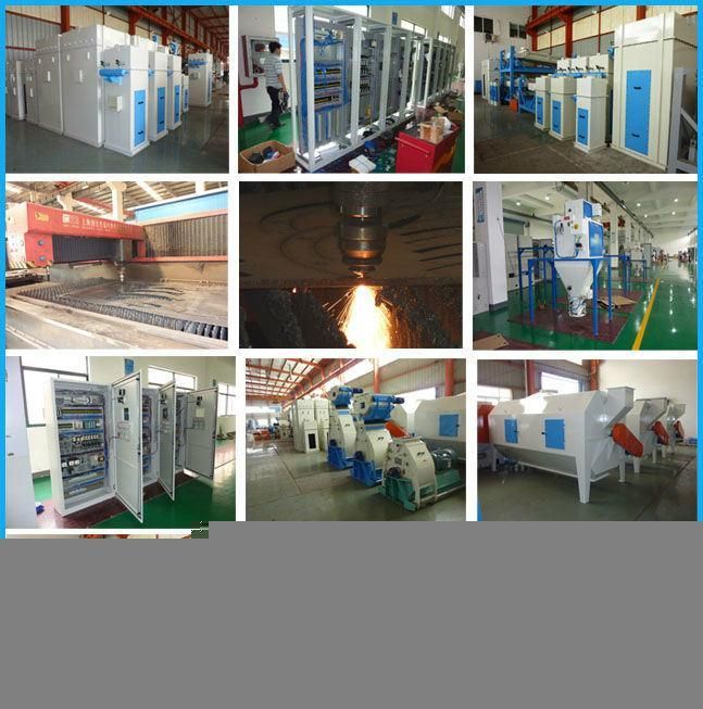 Small Suckling Pig Poultry Feed Pellet Production Line