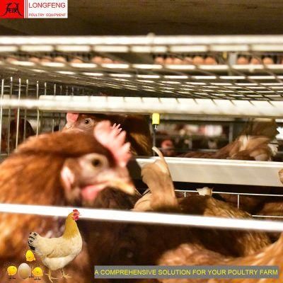 Automatic Farming Equipment ISO9001: 2008 Approved Chicken Layer Battery Cage Poultry Farm