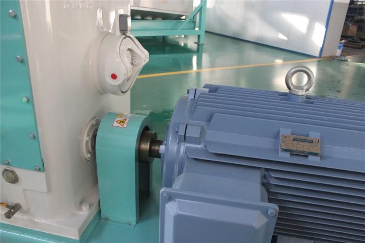 Animal Feed Pellet Making Machine Shrimp Fish Feed Pelleting Machinery