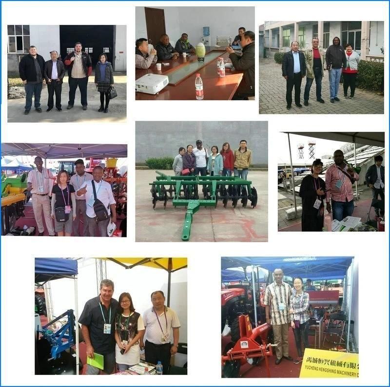 Agricultural Equipment Tine Cultivator Machine Farm Cultivator for Tractors