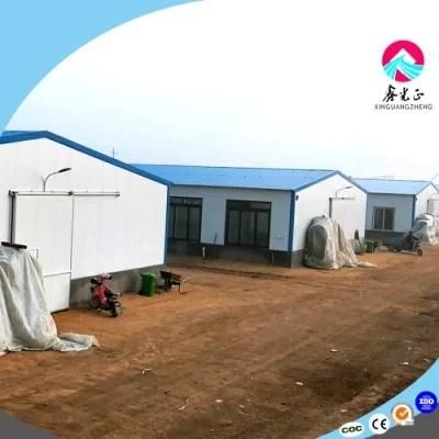 Customizable Factory Price Steel Structure Broiler Shed