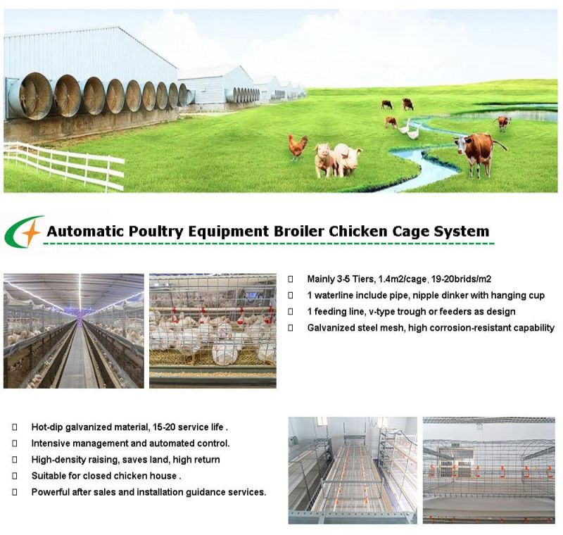 Automatic Poultry Farm Equipment Broiler Chicken Cage System for Sale