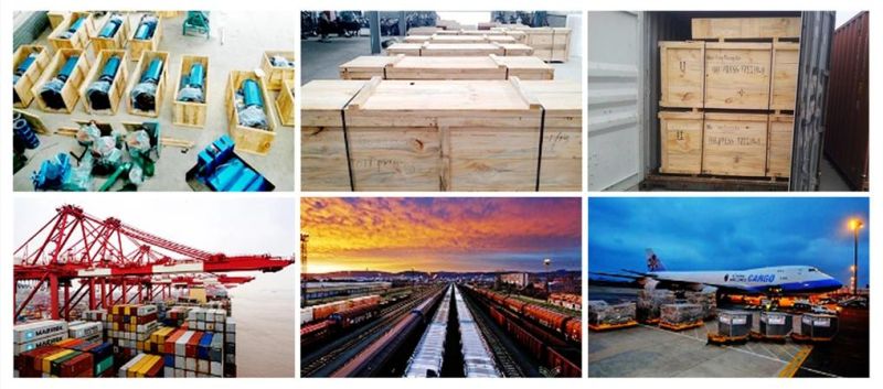Guangxin Factory Price 200kg/H Capacity Soybean Oil Press Machine, Sunflower Oil Expeller