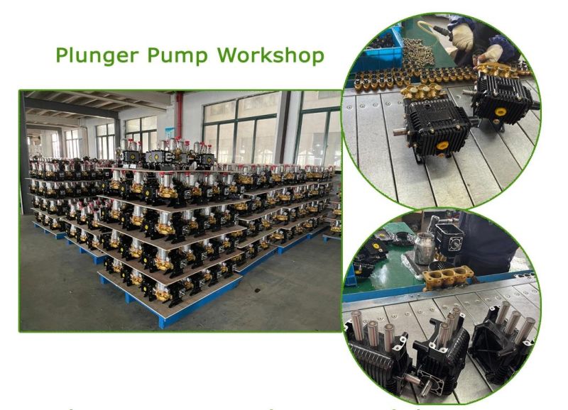 Gasoline Plunger Pump Farm Power Sprayer Sprayer Pump