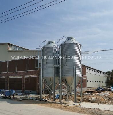 High Quality Automatic Controlled Poultry Farm in Africa for Chicken
