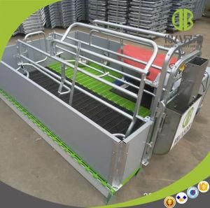 High Strengh Galvanized Swine Farrowing Gestation Crates Farrowing Crate