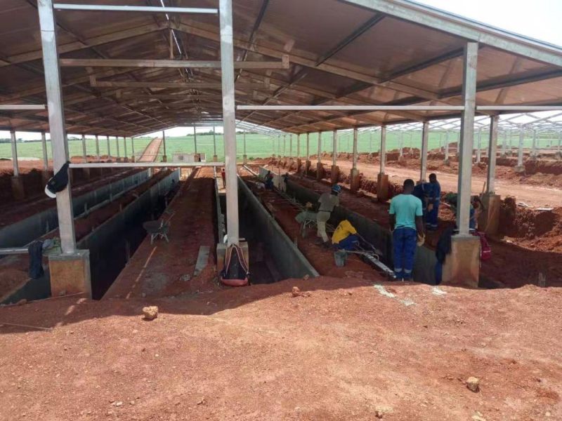 Pig Farm Turnkey Project Design and Equipment