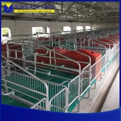 Quality Assurance Wholesale Galvanized Production Box Pig Equipment Dual Use Pig Bed