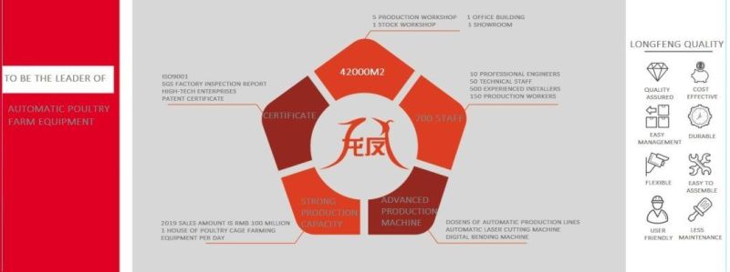 Longfeng Comprehensive Solution for Poultry 15-20years Professional Chicken Farm Equipment with Factory Price