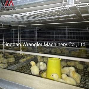 China Manufacturer 3 Tiers Broiler Cage System