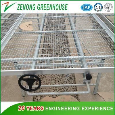 Alluminum Alloy Frame/Rolling Seeding Bed/Growing Bench Used in Greenhouse