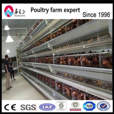 Hot Sale! Galvanized 3 Tier Battery Layer Chicken Cage for Sale