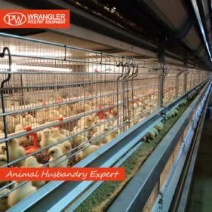 Poultry Farm Baby Chick Brooder Cage/Day Old Chicken Cage/Battery Pullet Rearing Cage