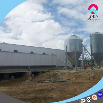 Philippine Prefabricated Steel Broiler House