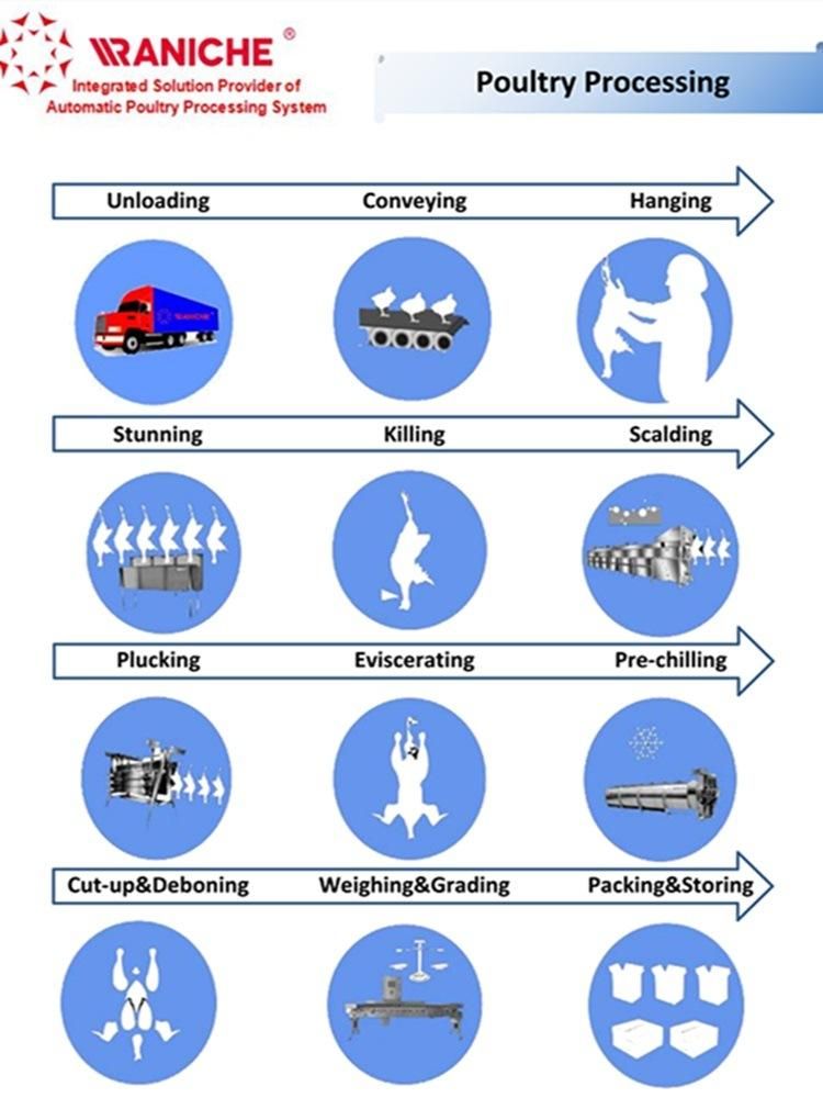 1000bph Chicken Line Abattoir Equipment Poultry Slaughtering Equipment Hot Sale in Saudia Arabic State Poultry Processing Machinery