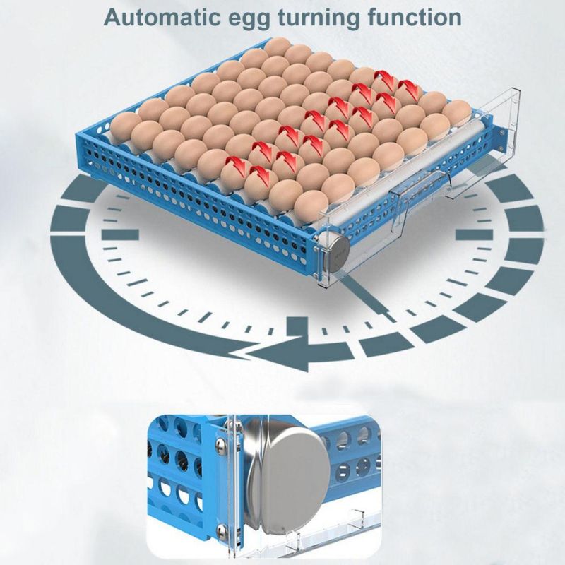 Newest 72 Egg Incubator and Hatcher Automatic Intelligent Egg Incubators