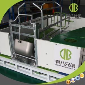 2017 New Style Hot DIP Galvanized Reversible Farrowing Pen
