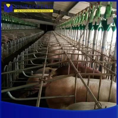 Hot Sale Pig Farm Equipment Sow Farrowing Crate