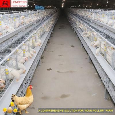 Longfeng High Density Comprehensive Solution for Poultry Farm Good Service Layer Cage