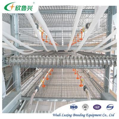 Automatic H-Type Broiler Cage with Bird Catcher Bird-Harvesting Equipment