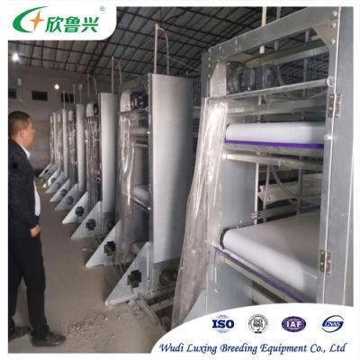 High Quality Poultry Equipment Chicken Hot DIP Galvanizing Wire Cage Broiler Rearing Coop for Sale