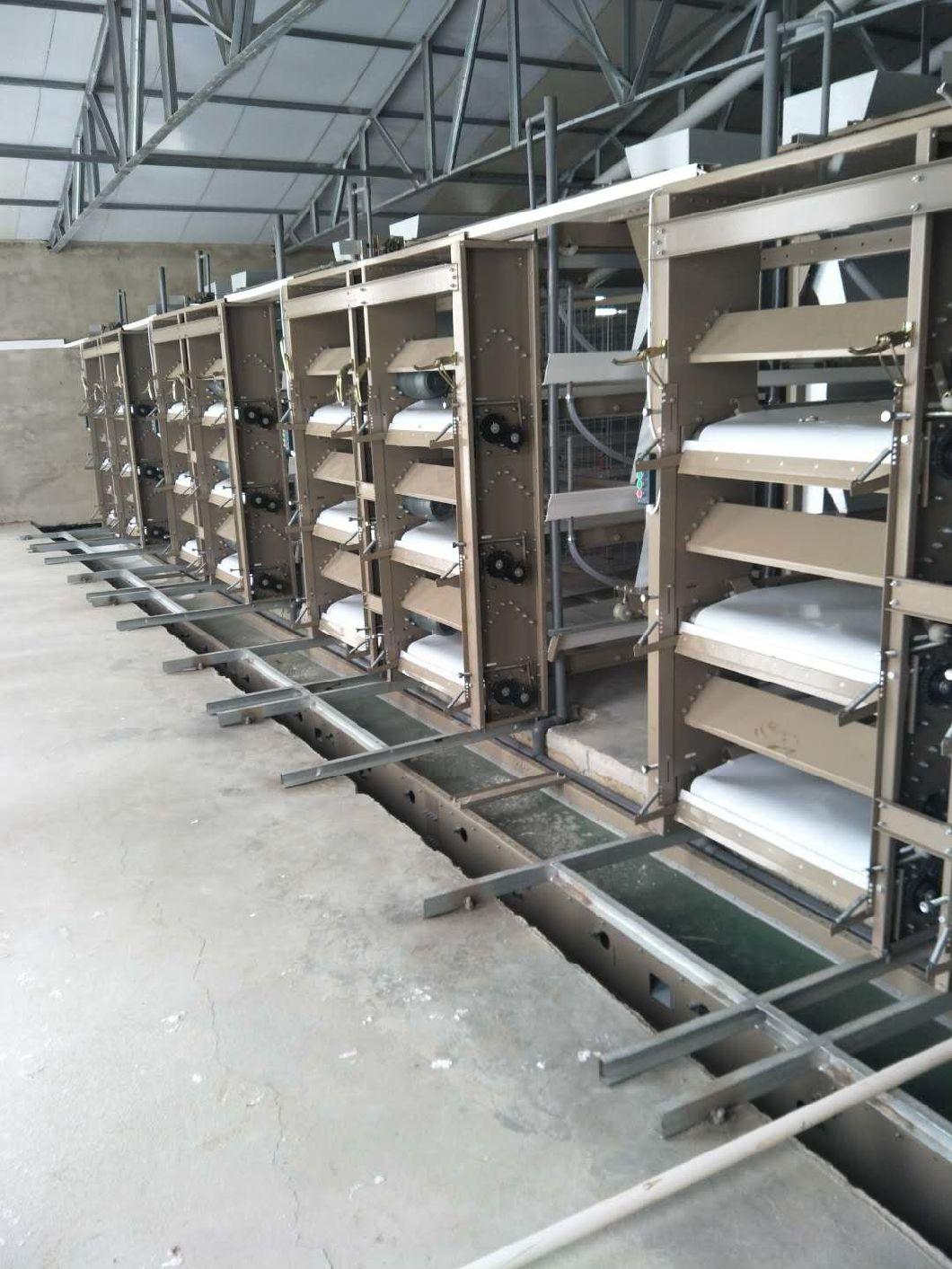 Automatic Poultry Chicken Bird Cages for Layer Broiler