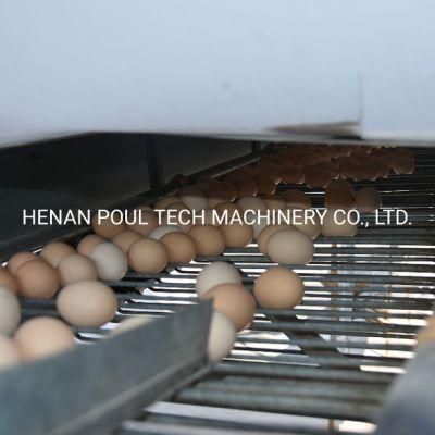 a Type Layer Cage for 50000 Birds Layer Project