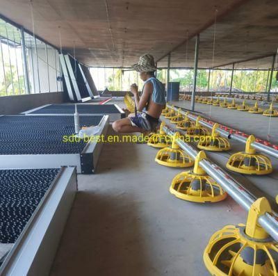 Modern Automatic Chicken House Poultry Farming Chicken Farm for Sale in Malaysia
