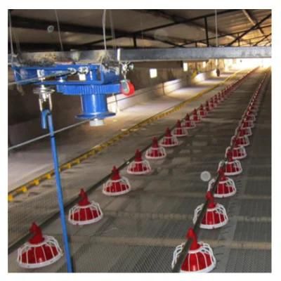 Auto Screw Feeder Type and Chicken Use Pan Feeding Line for Broiler