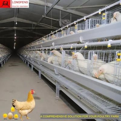 275g Hot Galvanized Wire Mesh and Sheet a Type Battery Chicken Cage