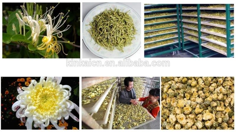 Commercial Factory Large Dryer Machine for Flower