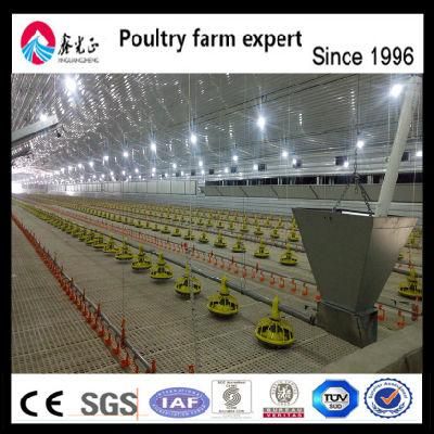 2018 Broiler Equipment Poultry Farm House Free Design Broiler Chicks Rate for Sale