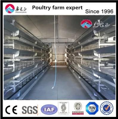 Hot Sale Automatic Battery Chicken Cage in Philippines