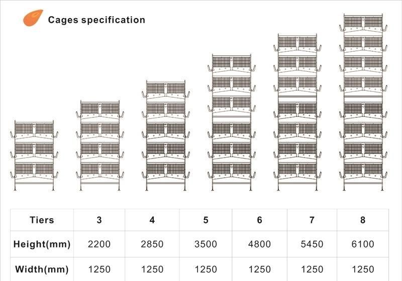 Chicken Cage Poultry Raising Equipment for Large Scale Poultry Farm