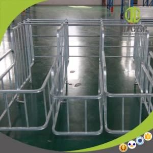 Quality Pig Farming Equipment for Livestock Equipment