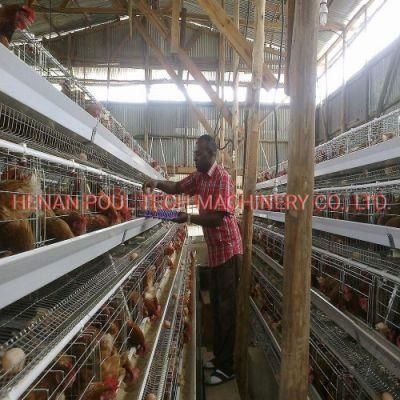 a Frame Automatic Hot Galvanized Chicken Cage Equipment