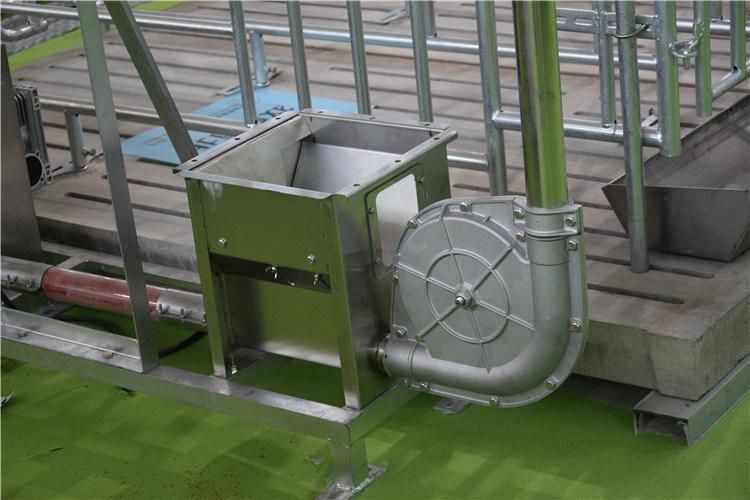 Factory Price High Efficiency Pig Farm Automatic Feeding Equipment