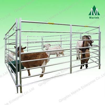 7 Rail Interlocking Sheep Hurdle Hot Sale