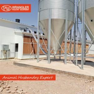 Complete Modern Farming Project Ground Breeding Poultry Equipment