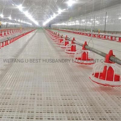 Automatic Poultry Feeder and Drinker for Chicken Broiler