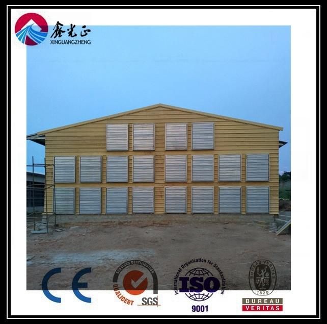 Steel Structure for Poultry House/Chickend Farm/ Broiler House