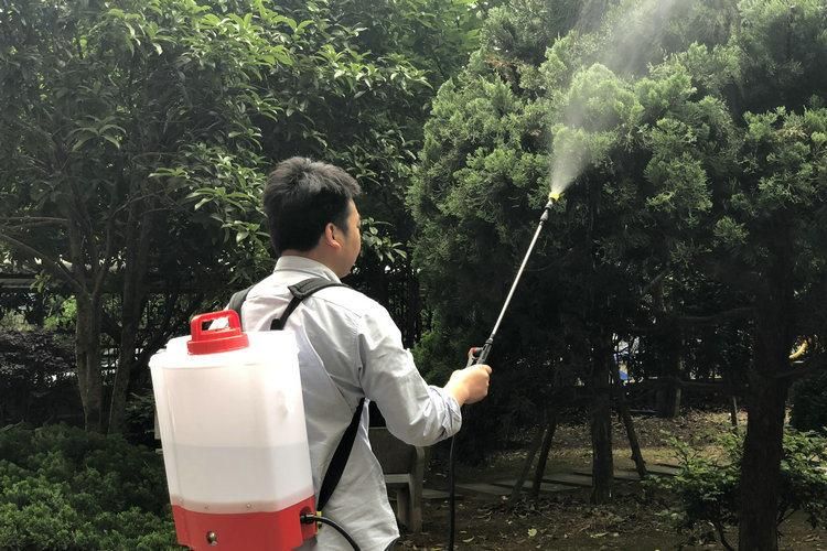 16L Agricultural Knapsack Portable Weed Control Weedkiller Pressure Sprayer