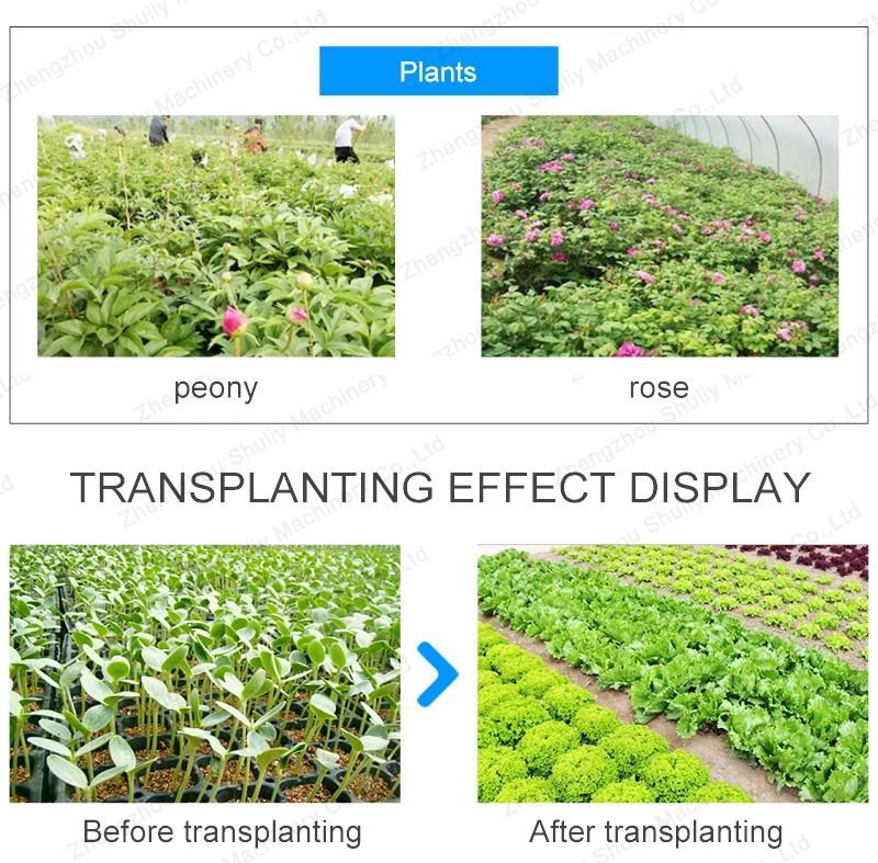 Seedling Transplanter Vegetable Transplanting Machine for Seedlings
