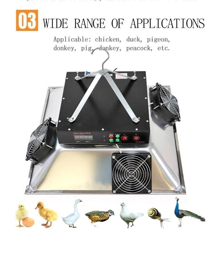 Chicken Farm House Radiant Gas Brooder, Poultry Heater