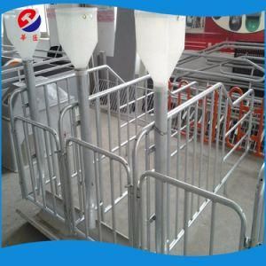 Very Popular Free Access Gestation Pen Animal Cage Wholesale for Sale
