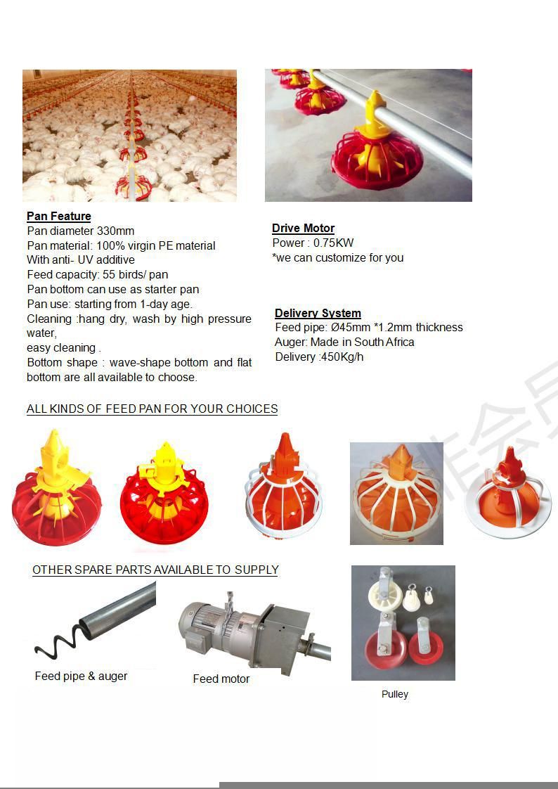 Hot Selling New Poultry Farm Automatic Flat Raising Equipment