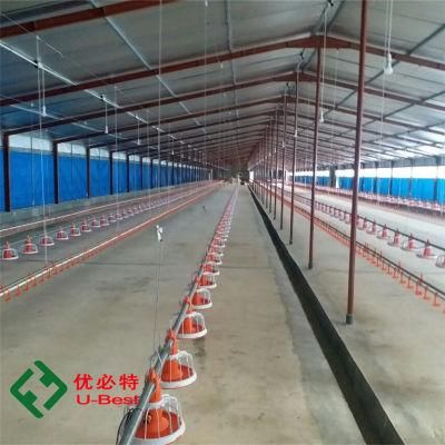 Stainless Steel Poultry Livestock Automation Equipment for Chicken Breeder Broiler