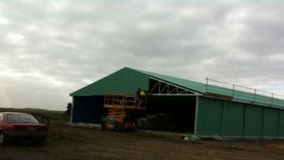 Steel Structure Chicken Use Poultry House/Chickend Farm/ Broiler Chicken House