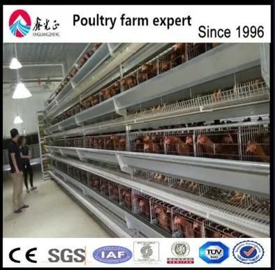 2016 Best Price Poultry Farming Equipment/Layer Chicken Cage